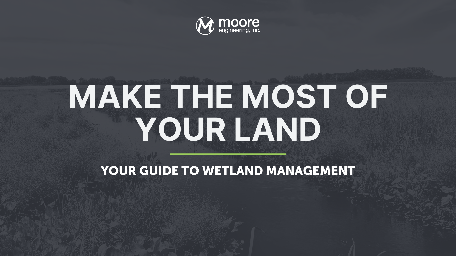 Blog header for wetland management